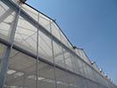 Glass Greenhouse - Glass greenhouse Venlo design - Dutch greenhouse glass